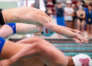 Image post by @colgateswimdive on Instagram