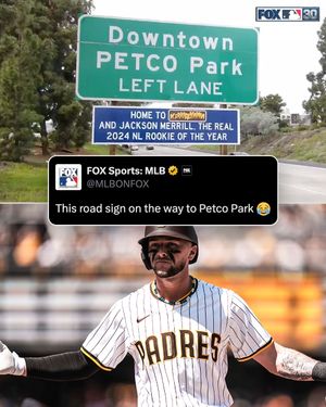 Video post by @mlbonfox on TikTok