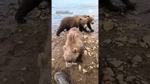 Video post by @accuweather on YouTube