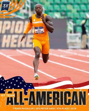 Image post by @vol_track on Instagram