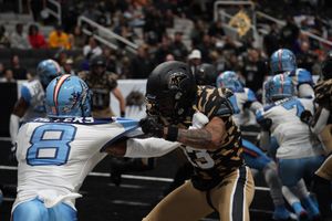 Image post by @panthersifl on Instagram