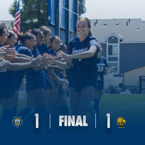 Image post by @vulions on Instagram
