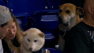 Video post by @marlins on TikTok