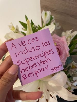 Image post by @yosoysofiagasque on Instagram