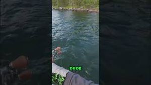 Video post by @lakeforkguy on YouTube