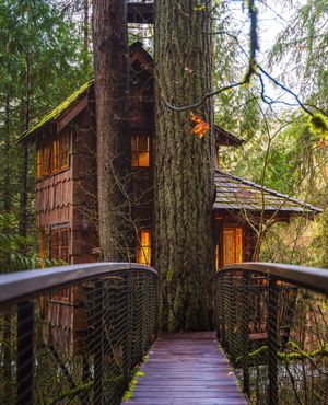 Image post by @treehousepoint on Instagram