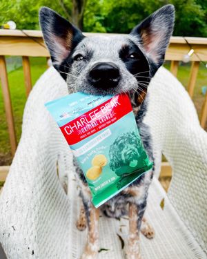 Image post by @charlee_bear_dogtreats on Instagram