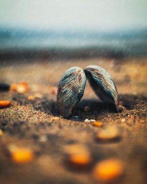 Image post by @stantonhunterphoto on Instagram