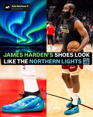 Image post by @soleretriever on Instagram