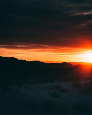 Image post by @xrprelic on Instagram