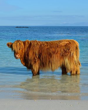 Image post by @visitscotland on Instagram
