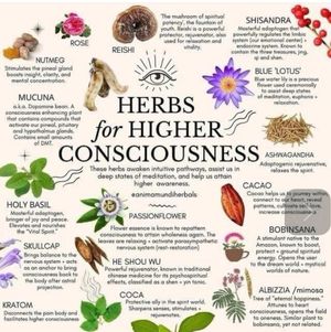 Image post by @herbsonthehill on Instagram