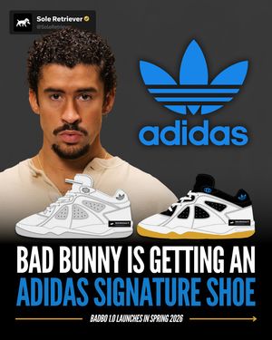 Image post by @soleretriever on Instagram