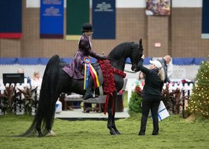 Image post by @UphaAmericanRoyalNationalChampionshipHorseShow on Facebook