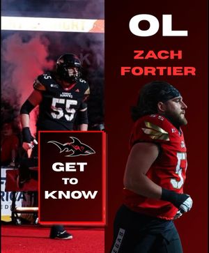 Image post by @jaxsharks on Instagram