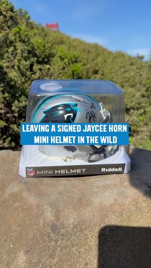Video post by @panthers on TikTok