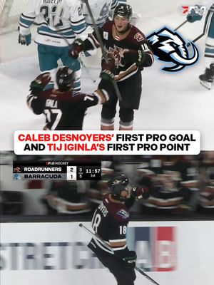 Image post by @flohockey on Instagram