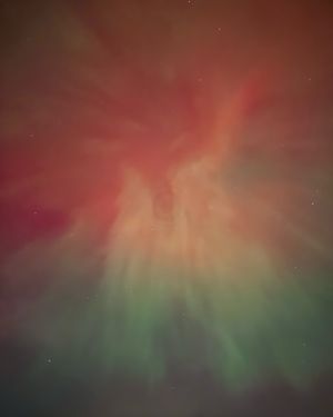 Image post by @planetwithsara on Instagram