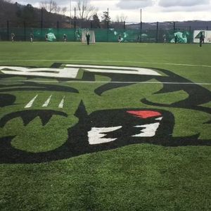Video post by @binghamtonwsoc on Instagram