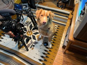 Image post by @reddigitalcinema on Instagram