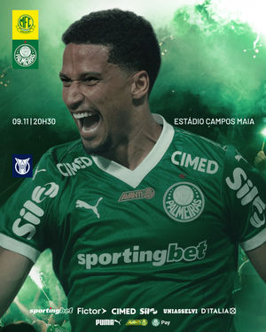 Image post by @palmeiras on Instagram