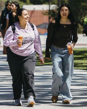 Image post by @csulongbeach on Instagram