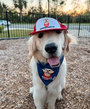 Image post by @vaderrthegolden on Instagram