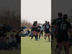 Video post by @theecnl on YouTube