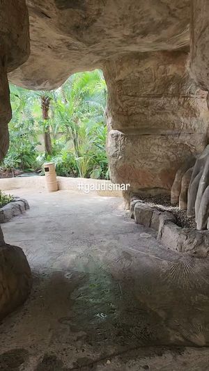 Video post by @gaudismar on Instagram