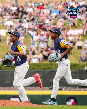 Image post by @littleleague on Instagram