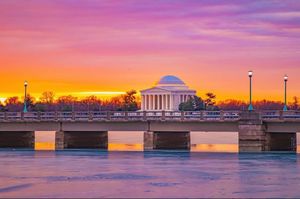 Image post by @popville on Instagram