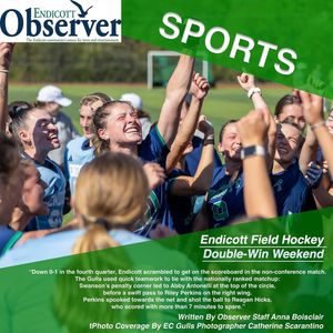 Image post by @endicottobserver on Instagram