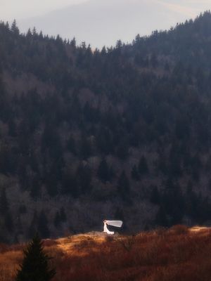 Image post by @jpotterphoto on Instagram