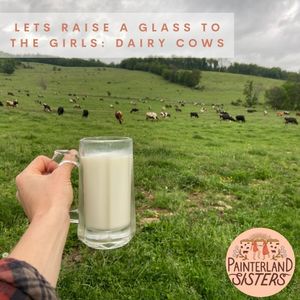 Image post by @painterlandsisters on Instagram