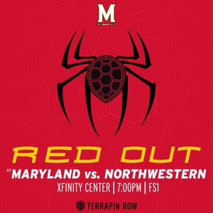 Image post by @terrapinhoops on Instagram