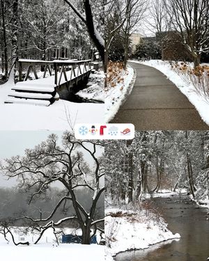 Image post by @shaverscreek on Instagram