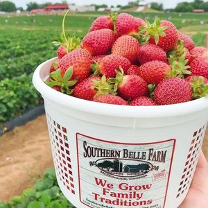 Image post by @southernbellefarm on Instagram