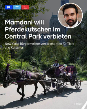 Image post by @rtlaktuell on TikTok