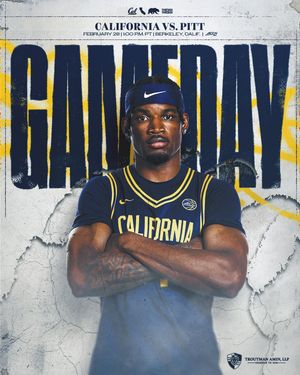Image post by @calmbball on Instagram