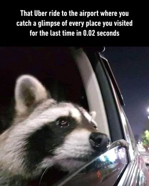 Image post by @9gag on Instagram