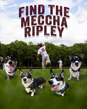 Image post by @Cotuit Kettleers on Facebook