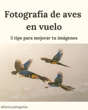 Image post by @fauna.patagonia on Instagram