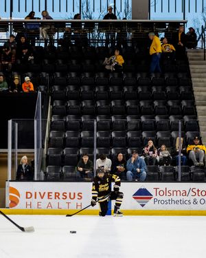 Image post by @wmu_hockey on Instagram