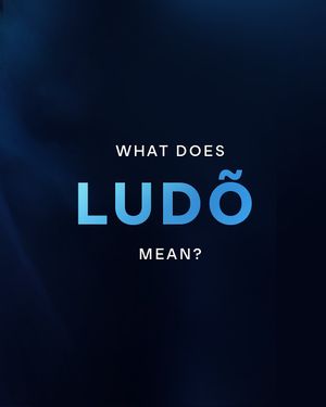 Image post by @ludo.cirquedusoleil on Instagram