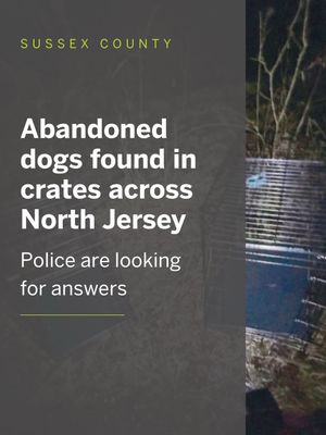 Video post by @njdotcom on TikTok