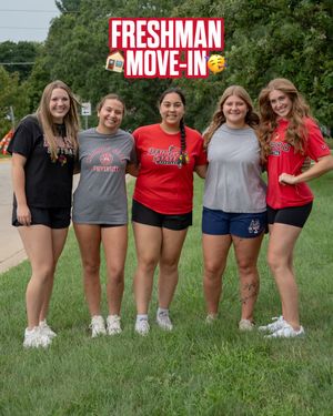 Image post by @redbirdsoftball on Instagram