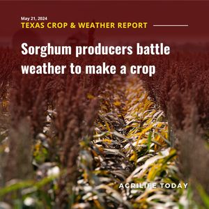 Image post by @txextension on Instagram