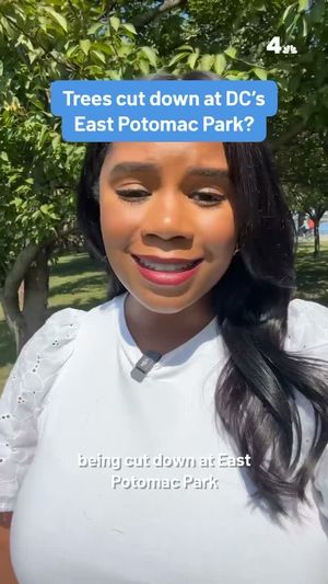 Video post by @nbcwashington on Instagram
