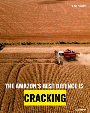 Image post by @greenpeace on Instagram