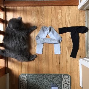 Image post by @matthewpaquette on Instagram